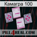 Камагра 100 33